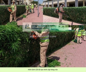 Đội ngũ chăm sóc cảnh quan định kỳ nhà máy đồng nai chuyên nghiệp