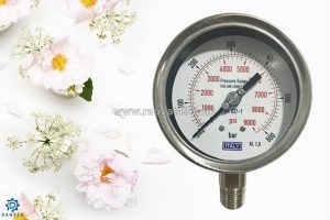 Đồng hồ áp suất 600 bar chân đứng italy 100mm inox – lựa chọn tối ưu cho hệ thống áp suất cao, dantek luôn đồng hành cùng bạn