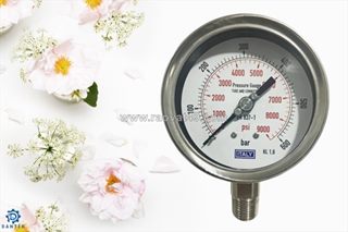 Đồng hồ áp suất chân đứng 600bar italy 100mm inox là gì? vì sao nên chọn sản phẩm do dantek phân phối