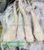 Đuôi trâu nguyên chiếc – hàng về liên tục