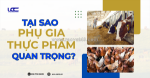 Efsa phụ gia thực phẩm chăn nuôi được coi là quan trọng vì sao?