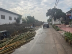 Giá 3,x tỷ – lô 121m² cộng lực ngọc xuyên, ngõ thông rộng hiếm, sẵn nhà cấp 4