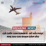 Giá cước container á - mỹ hồi phục nhẹ sau giai đoạn giảm sâu