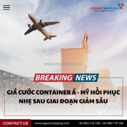 Giá cước container á - mỹ hồi phục nhẹ sau giai đoạn giảm sâu