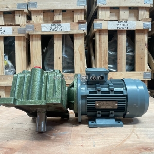 [giá kho] động cơ giảm tốc (motor giảm tốc) chính hãng - thành thái motor