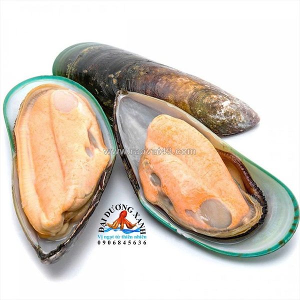 Giá trị dinh dưỡng trong các món ngon từ vẹm xanh