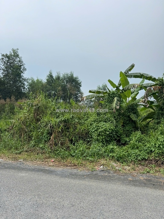 ~/Img/2026/1/hot-hot-can-ban-2-manh-dat-vuon-2-mat-tien-tai-duong-lien-ap-45-xa-da-02.jpg