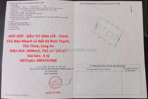 Hót hót - đầu tư sinh lời - chính chủ bán nhanh lô đất xã bình thạnh, thủ thừa,