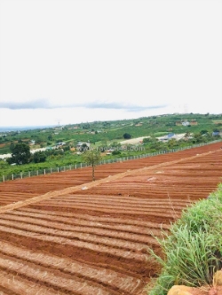 Hot !!! sở hữu ngay lô đất đẹp - giá tốt - vị trí đắc địa tại lâm hà, lâm đồng