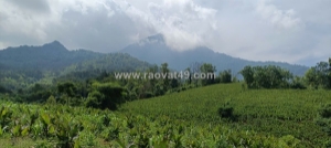 Hot !!! sở hữu ngay lô đất đẹp - giá tốt - vị trí đắc địa tại thôn hợp sơn, ba