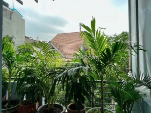 Hxh 8m - nhà chính chủ - bình thạnh - nơ trang long - nhà hoàn công đủ - 4 tầng