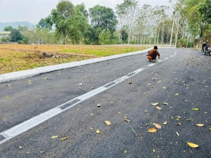 Không đất xa – không rủi ro- đất ở đô thị tp.hòa bình, sẵn sổ, hơn 4tr