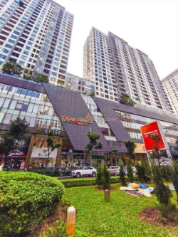 Lê văn lương – căn hộ the golden palm – 3 ngủ – tầng trung, view đẹp - thanh