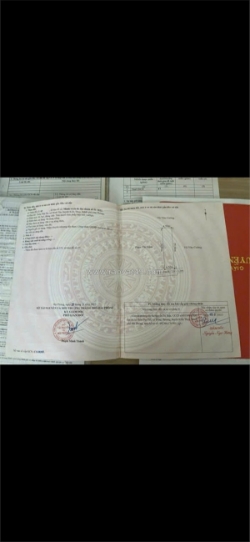 Lô đất thù du – minh tân – kiến thụy  diện tích đẹp gần 90m², khu dân cư đông