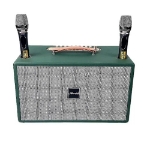 Loa karaoke di động microtek hd-620 (kèm 2 micro)