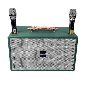 Loa karaoke di động microtek hd-620 (kèm 2 micro)