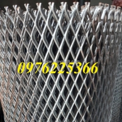 Lưới mắt cáo 20x40x2ly