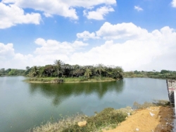 Mảnh đất view hồ, đồng trạng cổ đông, 100m sẵn sổ đường to, cần bán giá cực mềm