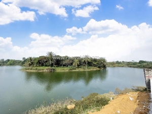 Mảnh đất view hồ, đồng trạng cổ đông, 100m sẵn sổ đường to, cần bán giá cực mềm