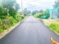 Mặt tiền đường nhựa 6m xe hơi 🚗 khu bàn cơ thông tứ phía
♦️ dt : 1.373 m2 -