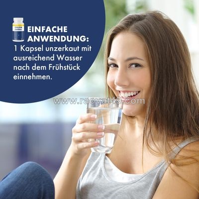 Memomeister-bewertung: ausgewogene gehirnunterstützung für die täglichen mentalen anforderungen
