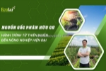 Nguồn gốc phân hữu cơ: chìa khóa phục hồi hệ sinh thái nông nghiệp