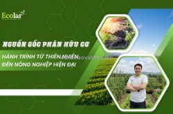 Nguồn gốc phân hữu cơ: chìa khóa phục hồi hệ sinh thái nông nghiệp