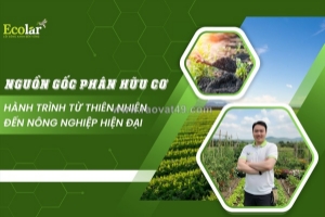 Nguồn gốc phân hữu cơ: chìa khóa phục hồi hệ sinh thái nông nghiệp