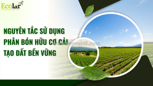 Nguyên tắc sử dụng phân bón hữu cơ cải tạo đất bền vững