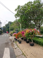 Nhà hxh khu bông sao – 3 phút sang quận 5 – giá 9 tỷ