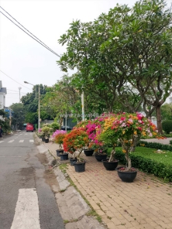 Nhà hxh khu bông sao – 3 phút sang quận 5 – giá 9 tỷ