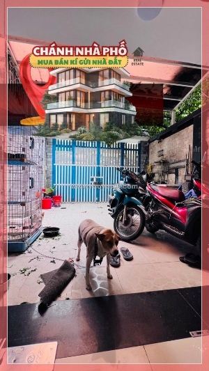 Nhà quận 8 giáp quận 1 ngang 5x25 dt 123m2 nguyễn thị tần 11 tỷ 5- 09311722