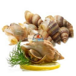 Ốc bulot làm món gì ngon? gợi ý các cách chế biến phổ biến