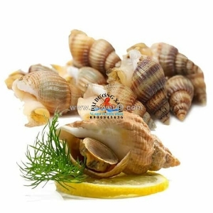 Ốc bulot làm món gì ngon? gợi ý các cách chế biến phổ biến