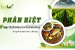 Phân biệt phân hữu cơ và hóa học: tối ưu hóa chiến lược dinh dưỡng cây trồng