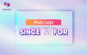 Phan biet since va for