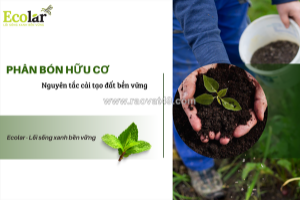 Phân bón hữu cơ: nguyên tắc cải tạo đất bền vững