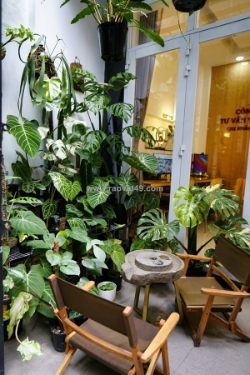 Phú nhuận nhà 3 tầng btct - 5 phút qua q1- 50m ra mặt tiền phan đình phùng -