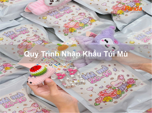 Quy trình nhập khẩu túi mù