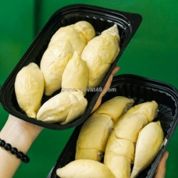 Sầu riêng chuồng bò