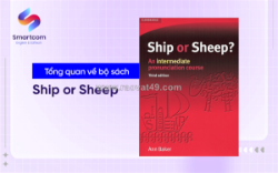 Ship or sheep