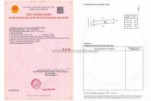 Sỉ và lẻ 10 nền f0 chưa qua đầu tư