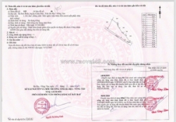 Sỉ và lẻ 11 nền f0 sát nhà thờ xuân trường xuân sơn hcm