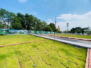 Siêu phẩm phú mãn - thế đất 