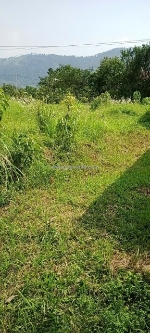 Sở hữu ngay lô đất đẹp - giá tốt - vị trí đắc địa tại thôn lâm trường, xã minh