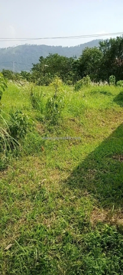 Sở hữu ngay lô đất đẹp - giá tốt - vị trí đắc địa tại thôn lâm trường, xã minh