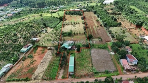 Sở hữu ngay lô đất đẹp - giá tốt - vị trí đắc địa tại tt nam ban, huyện lâm hà,