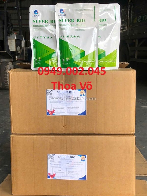 Super bio – chế phẩm vi sinh hỗ trợ đường ruột, xử lý ao nuôi & tăng cường hệ đệm vi sinh