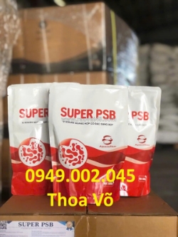 Super psb vi khuẩn quang hợp rhodo xử lý nước ao tôm cá