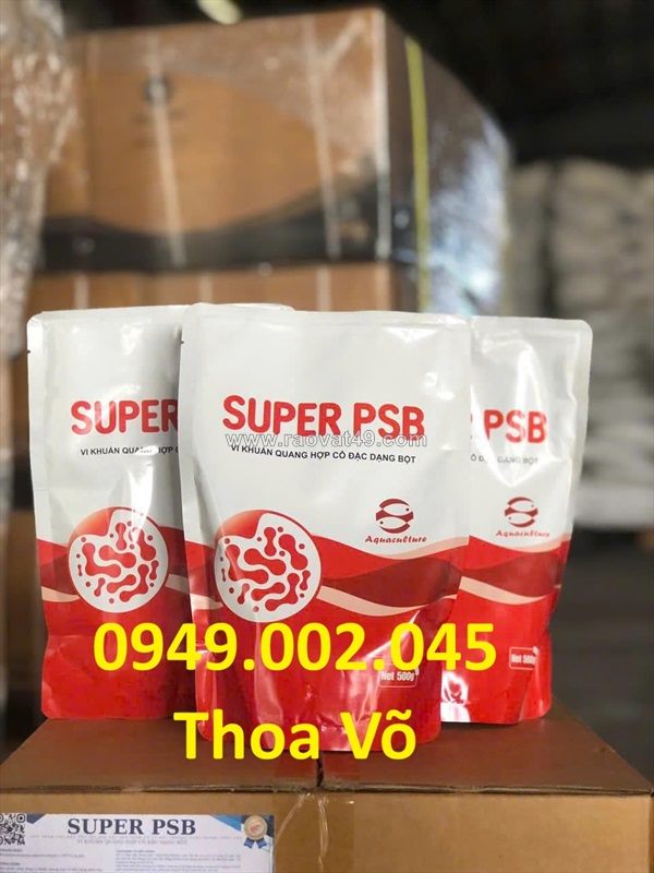 Super psb vi khuẩn quang hợp rhodo xử lý nước ao tôm cá